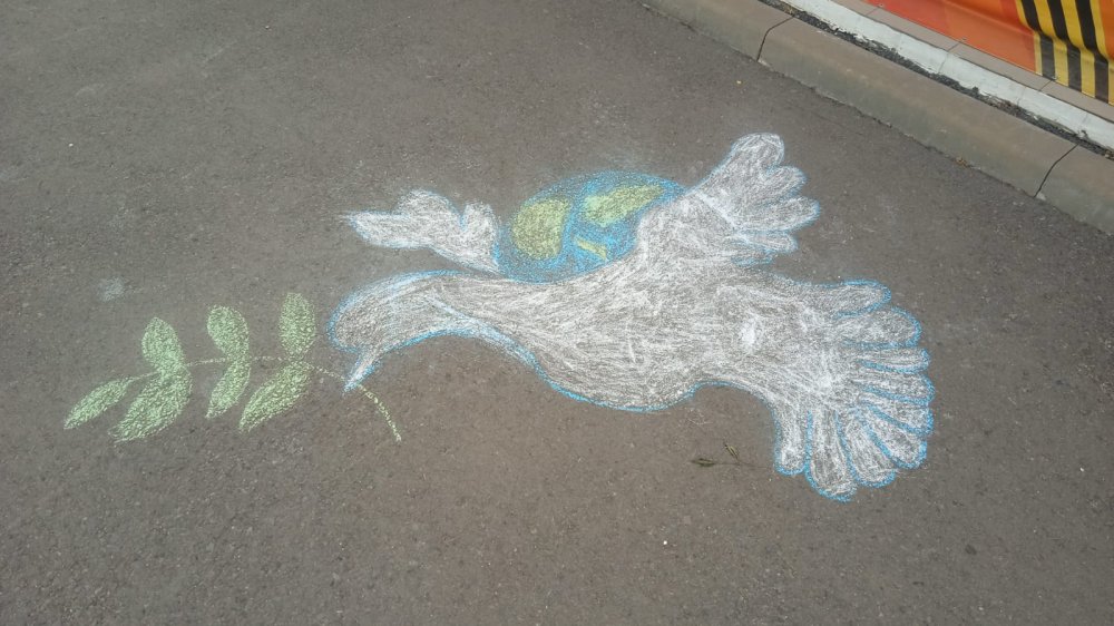 img (9)